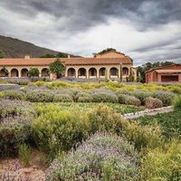 Las bodegas de Argentina preocupadas por el futuro