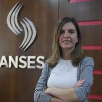 La titular de la ANSES habló sobre el futuro del IFE
