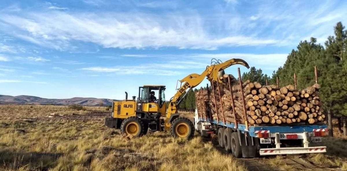 Distribuirán 5 mil metros cúbicos de leña en toda la provincia. Fuente: (Neuquén Informa)