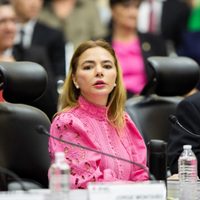 Excluidas, silenciadas, sometidas... cientos de mujeres renunciaron a sus candidaturas