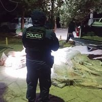 Decomisaron más de 700 kilos de carne transportada en la caja de una camioneta