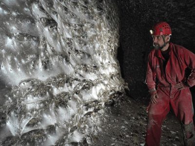 Encontraron una megaciudad subterránea de más de 100 mil arañas