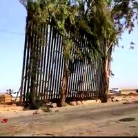 Vientos de Santa Ana arrancan muro de Trump en Mexicali
