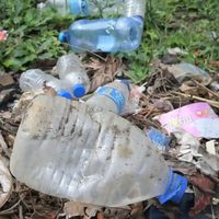 De la erupción del volcán a estar tapada de plástico: el nuevo problema de Tonga