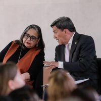 La elección de ministros, magistrados y jueces “va porque va”, dice morenista frente a Norma Piña