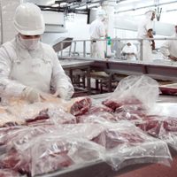 Alimentos congelados importados con rastros de coronavirus: China refuerza sus controles