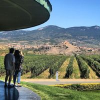 Bodegas españolas elegidas como las mejores del mundo