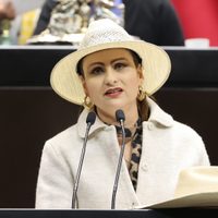 A Manzo lo mataron porque afectó intereses de criminales y políticos: diputada de "La Sombreriza"
