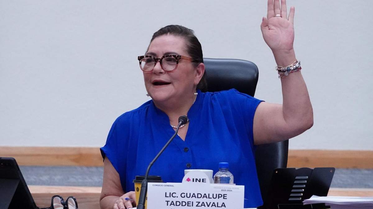 Guadalupe Taddei en la sesión del Consejo General del INE del miércoles