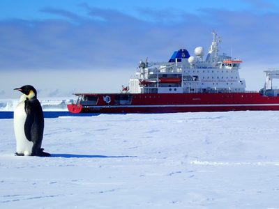 En busca del legendario buque de Ernest Shackleton en la Antártida: la misión para encontrarlo