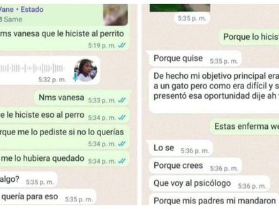 Adolescente presume en WhatsApp que adoptó un cachorro para torturarlo y matarlo