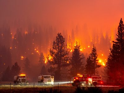 Trump negó que el cambio climático sea causante de los incendios: “Comenzará a enfriarse”