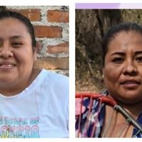 Brenda desaparece tras oferta laboral; Fiscalía de Morelos reacciona tras ser exhibida