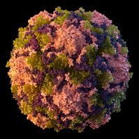 Reportan el primer caso de polio en Estados Unidos en una década