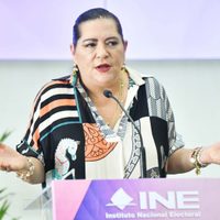 Taddei buscará una reunión con Pablo Gómez; pide “prudencia” en la reforma electoral