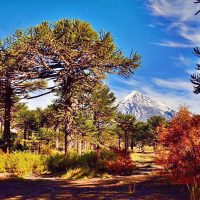 Lunes despejado: así estará el clima en Neuquén