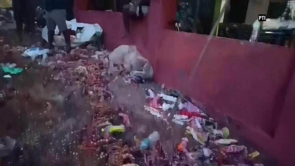 Al menos seis personas murieron y decenas resultaron heridas después de una estampida en una reunión religiosa en el estado de Goa, en el oeste de la India, la madrugada del sábado, informó la agencia de noticias Press Trust of India.