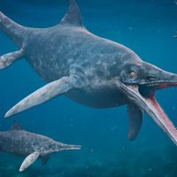 Investigadores encontraron una copia del "pez lagarto" que se perdió en la segunda guerra mundial