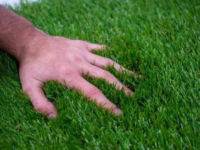 Si no tenés presupuesto para comprar panes de césped, esta es la forma para forrar tu jardín del pasto más verde