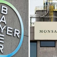 Se prepara “albazo” jurídico a favor de la trasnacional Bayer-Monsanto, alerta Sin Maíz No Hay País