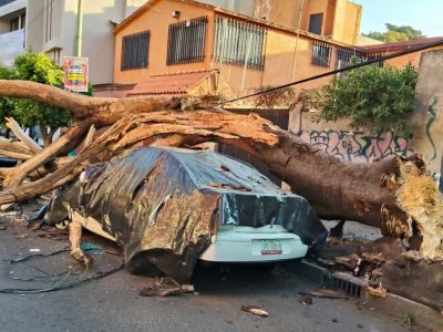 Brugada reporta saldo blanco en CDMX tras sismo magnitud 6.5 (Video)