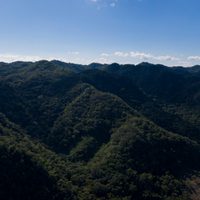 ONG: nada que celebrar en el Día Mundial del Medio Ambiente