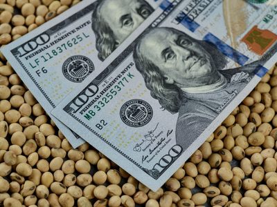 Dólar soja y la Mesa de Enlace: esto es lo que opina la organización del campo