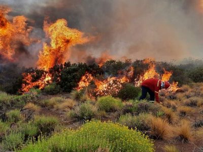 Aún no pudieron sofocar el incendio y se viven momentos críticos en Loncopué