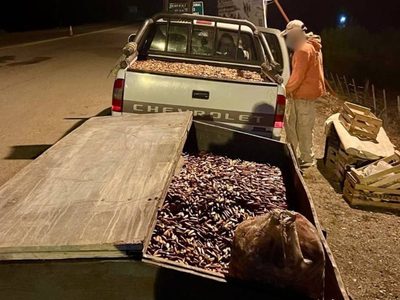 Secuestran más de dos toneladas de piñones en controles sobre rutas 40 y 23