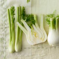 Exquisitos platos gourmet con vegetales grillados