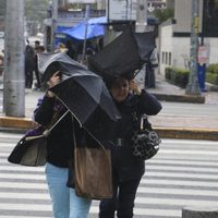 Noche de sábado y madrugada de domingo en alerta por viento y frío en la CDMX