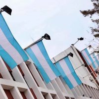 Zapala: Municipalidad renueva Banderas de Argentina en edificios y oficinas