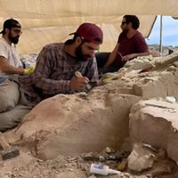 Los investigadores hallaron huesos de dinosaurio en su primer día de expedición en Río Negro