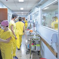 Amparo de médicos terapistas: el martes vence el plazo para que Neuquén brinde el informe