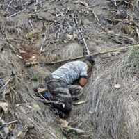 Enfrentamientos en Guerrero dejan dos muertos y el decomiso de camionetas clonadas del Ejército