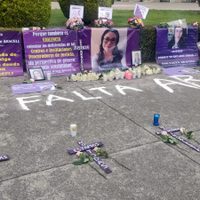 Casi cinco mil mujeres perdieron la vida de forma violenta en nueve meses