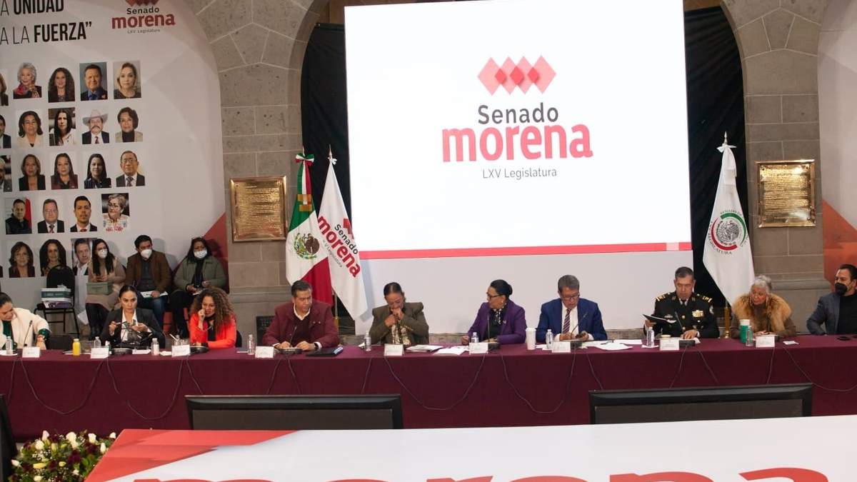 La titular de la SSPC, Rosa Icela Rodríguez, en la plenaria de senadores de Morena