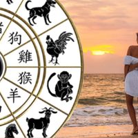 A no deprimirse: cuáles son los signos del Horóscopo chino que en 2022 no tendrán suerte en el amor