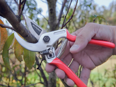 En pocos pasos, el trucazo para sacarle filo a tus tijeras de jardinero y dejarlas como nuevas