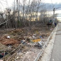 Neuquén utilizará cámaras para vigilar y multar a vecinos que arrojen basura en la vía pública