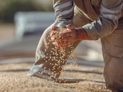 El campo ya vendió U$S 7.000 millones y se terminaron las retenciones cero