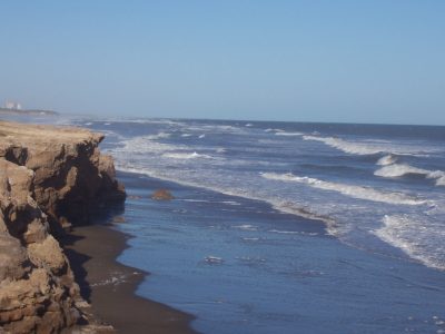 Sorpresa en las aguas de Las Grutas: conocé nuevas imágenes impactantes