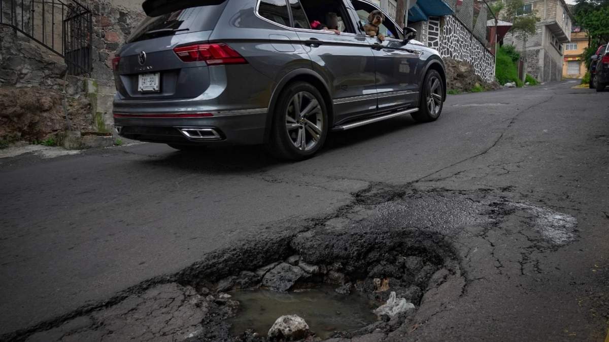 Bache en la CDMX