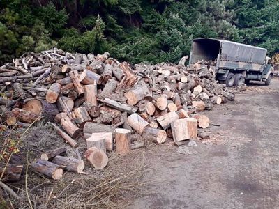 Vecino de S.M. Andes donó 200.000 kg de leña a Zapala