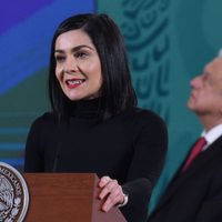 García Vilchis denuncia campaña mediática contra la reforma eléctrica... y comete nuevo traspié