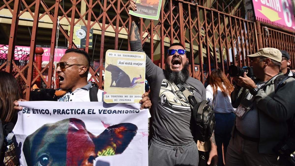 Protesta contra las corridas de toros en la Plaza México