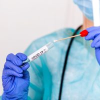Coronavirus: científicos argentinos desarrollaron una herramienta para detectarlo velozmente