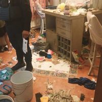 Rescatan a dos niños de 2 y 4 años en Guanajuato; tenían semanas abandonados