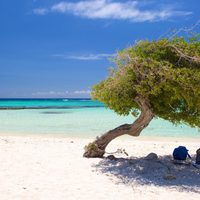 Manuel Adorni viajó a Aruba en primera clase, junto a toda su familia y pagó en efectivo