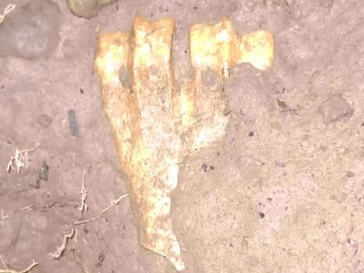 El temporal de lluvia en Andacollo hizo descubrir restos arqueológicos de una antigua civilización